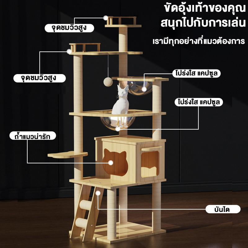 คอนโดแมวหลังใหญ่หลายดีไซน์ ไม้สวยไร้เหลี่ยมคม คอนโดไม้ ที่นอนแมว คอนโดแมวไม้ มินิมอล