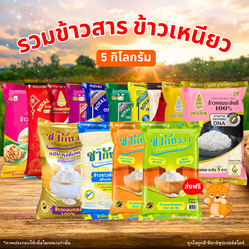 [ส่งฟรี] รวมตะกร้า ข้าวสาร ข้าวหอมมะลิแท้ 100% ข้าวเหนียว ขนาด 5 กิโลกรัม มีให้เลือกหลายยี่ห้อ!!