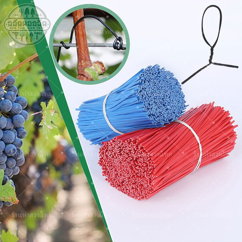 ลวดรัดกิ่งไม้ ลวด ลวดรัด ลวดเหล็กเคลือบพลาสติก ลวดใช้ตกแต่งต้นไม้ มัดละ 1000 เส้น ยาว 10ซม - รูปที่ 3