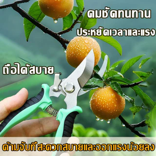กรรไกรตัดหญ้า ใบมีดคม แข็งแรง กรรไกรทำสวน ใช้ตัดหญ้าและแต่งกิ่ง