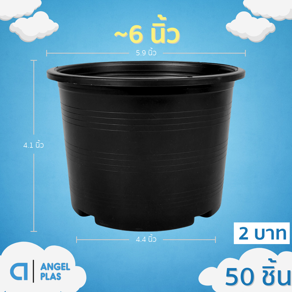 กระถาง กระถางต้นไม้ กระถางพลาสติก เบอร์ 6 นิ้ว สีดำ 50 ใบ ยกมัด