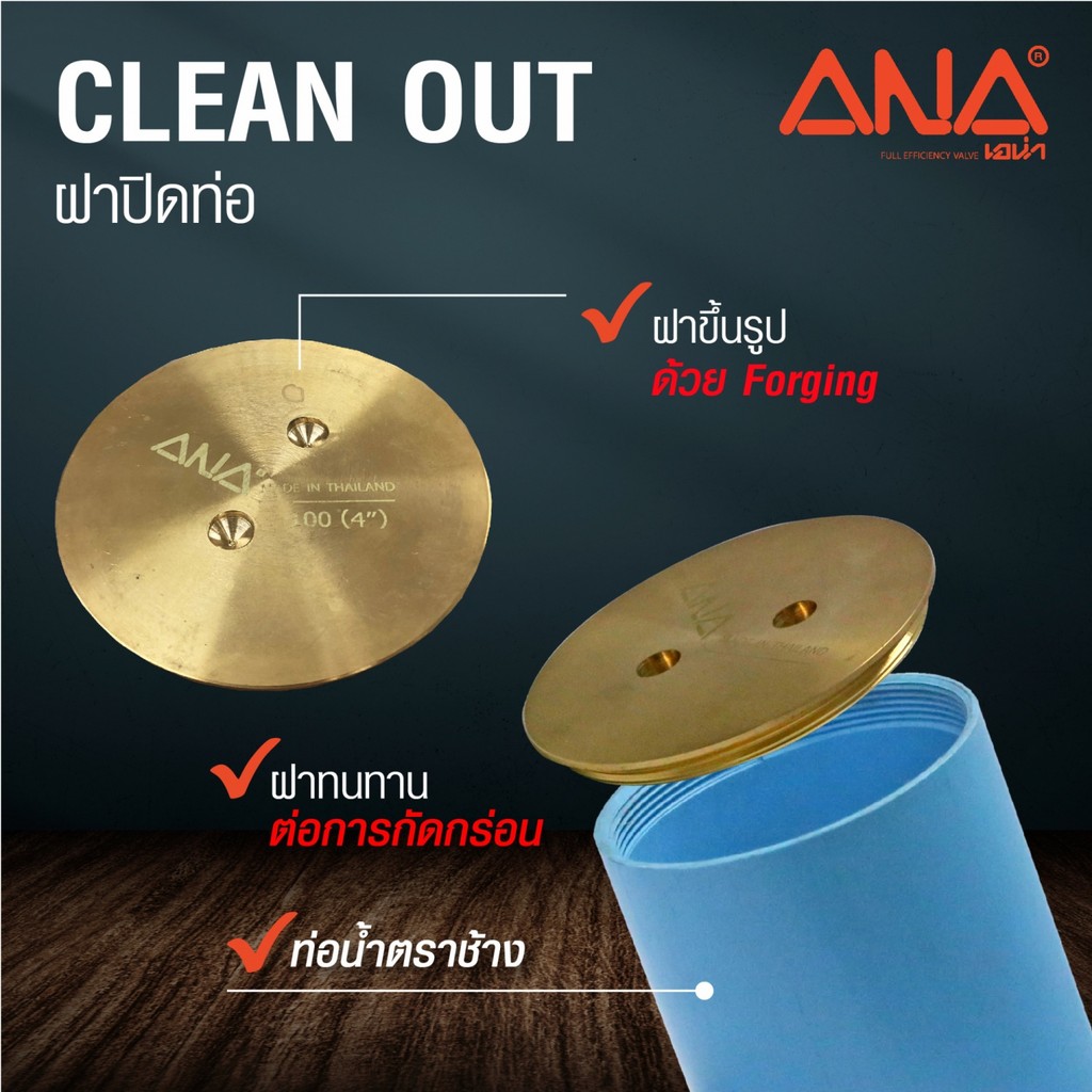 GlobalHouse ANA ชุดฝาส้วม clean out+ท่อ PVC รุ่น Clean Out ขนาด 2 นิ้ว สีทอง สินค้าของแท้คุณภาพดี
