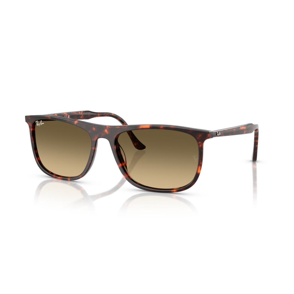 RayBan RB2216F 14290A