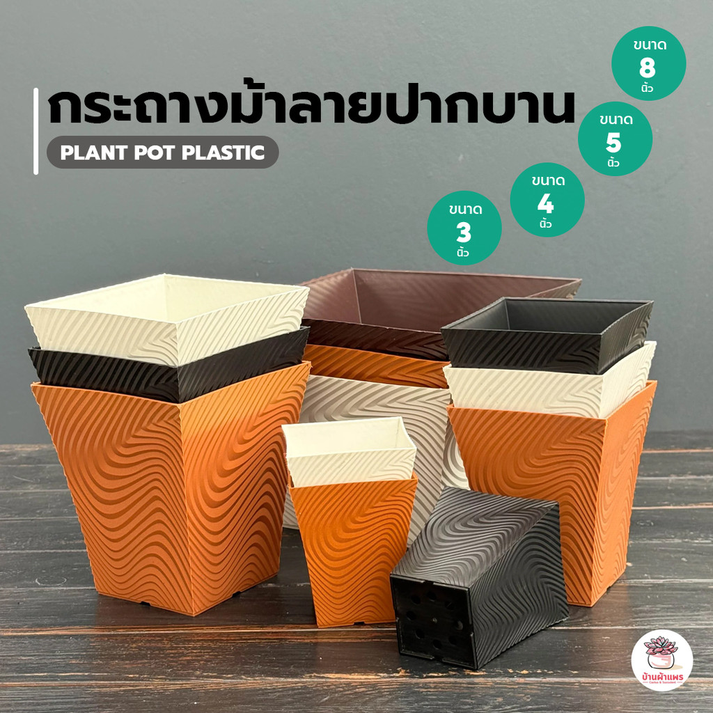 กระถางม้าลายปากบาน กระถางพลาสติก แคคตัส กระบองเพชร ไม้อวบน้ำ Cactus&Succulent