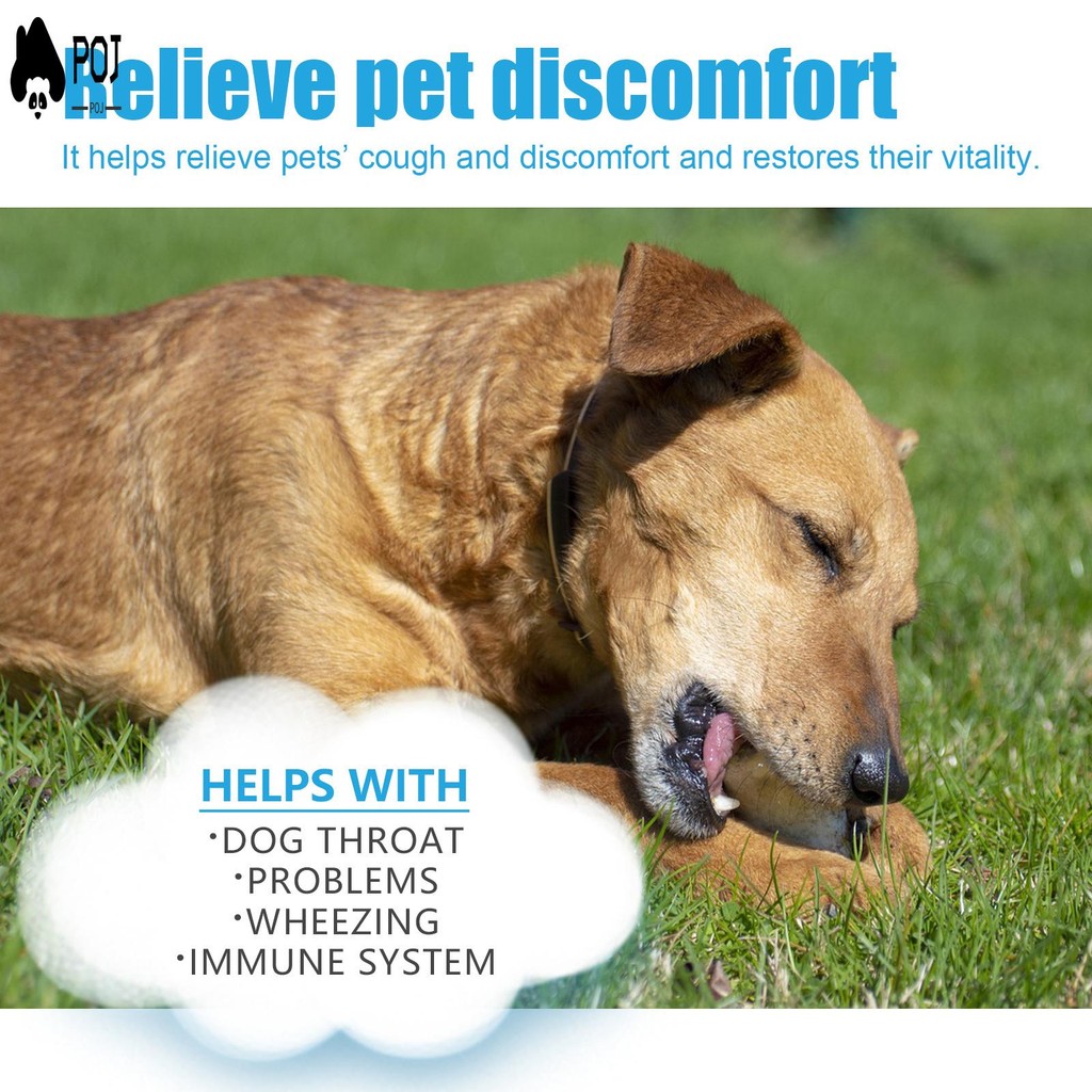 Pet Cough Herbal Drops Relief of Pet Discomfort Sniffle Care Liquid for Pet Care Accessories