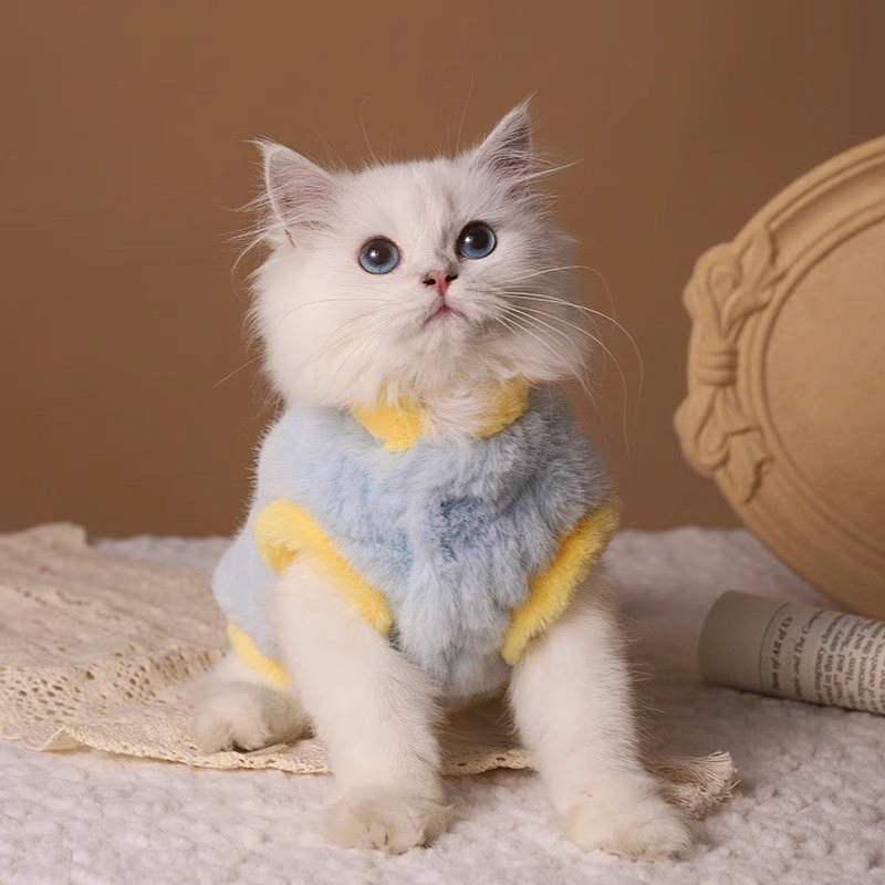Super Cute Furry Cat Clothes Autumn and Winter Warm-Keeping and Cold-Proof Muppet Long Fur Bichon Puppy Dog Pet Fluffy Jacket RJ9A