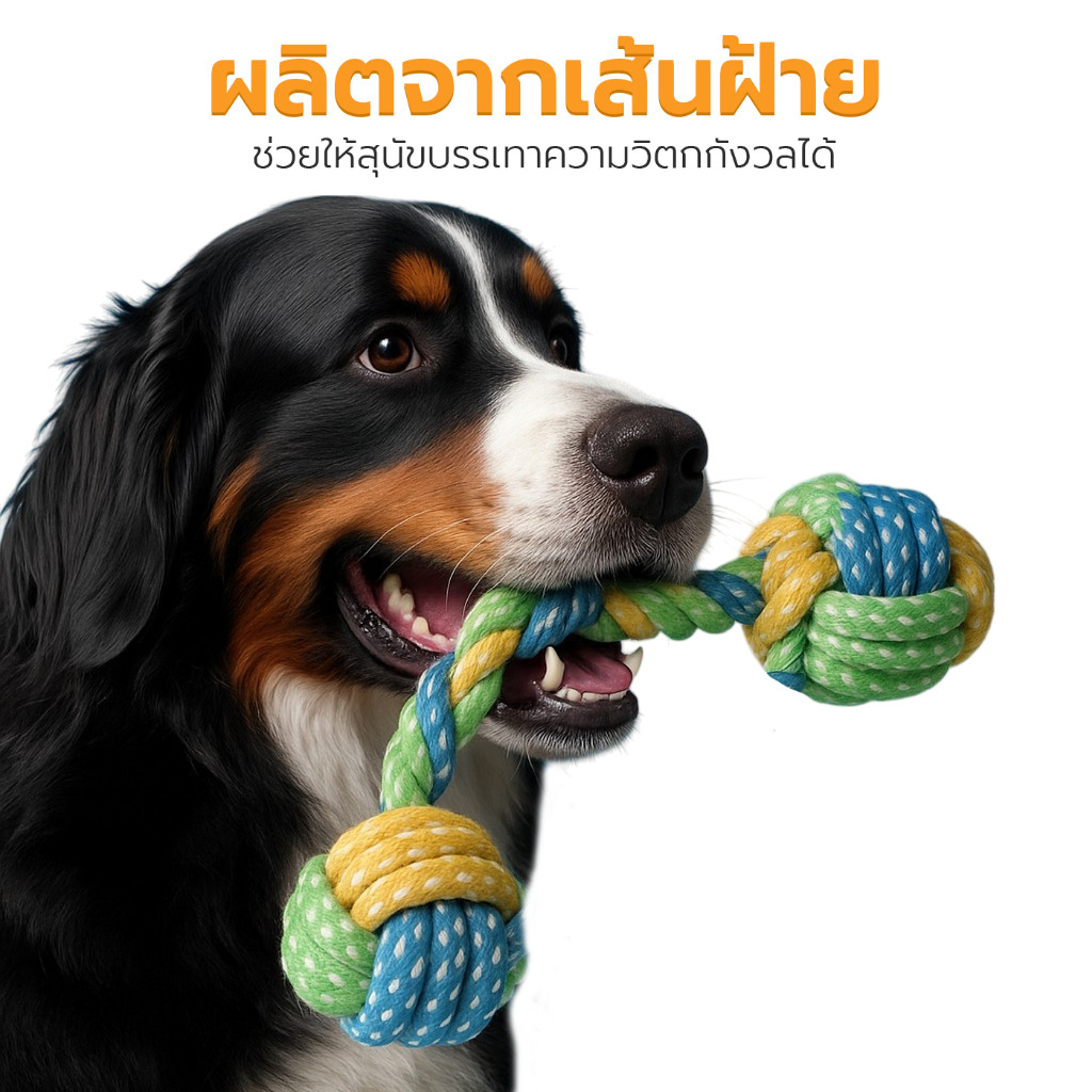 ของเล่นสุนัข ของเล่นตุ๊กตาสุนัข ของเล่นสัตว์์เลี้ยง Dog Toy ทนต่อการกัด  ทำให้ผ่อนคลาย Petus pet ราคา ถูกที่สุด ดีลบีเคเค แกลเลอรีภาพที่ 2