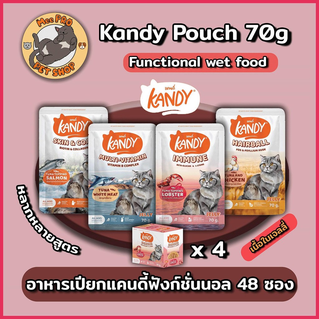 [48 ซอง] Kandy แคนดี้ อาหารเปียกแมว Functional ผลิตจากปลาเนื้อขาว ขนาด 70 กรัม