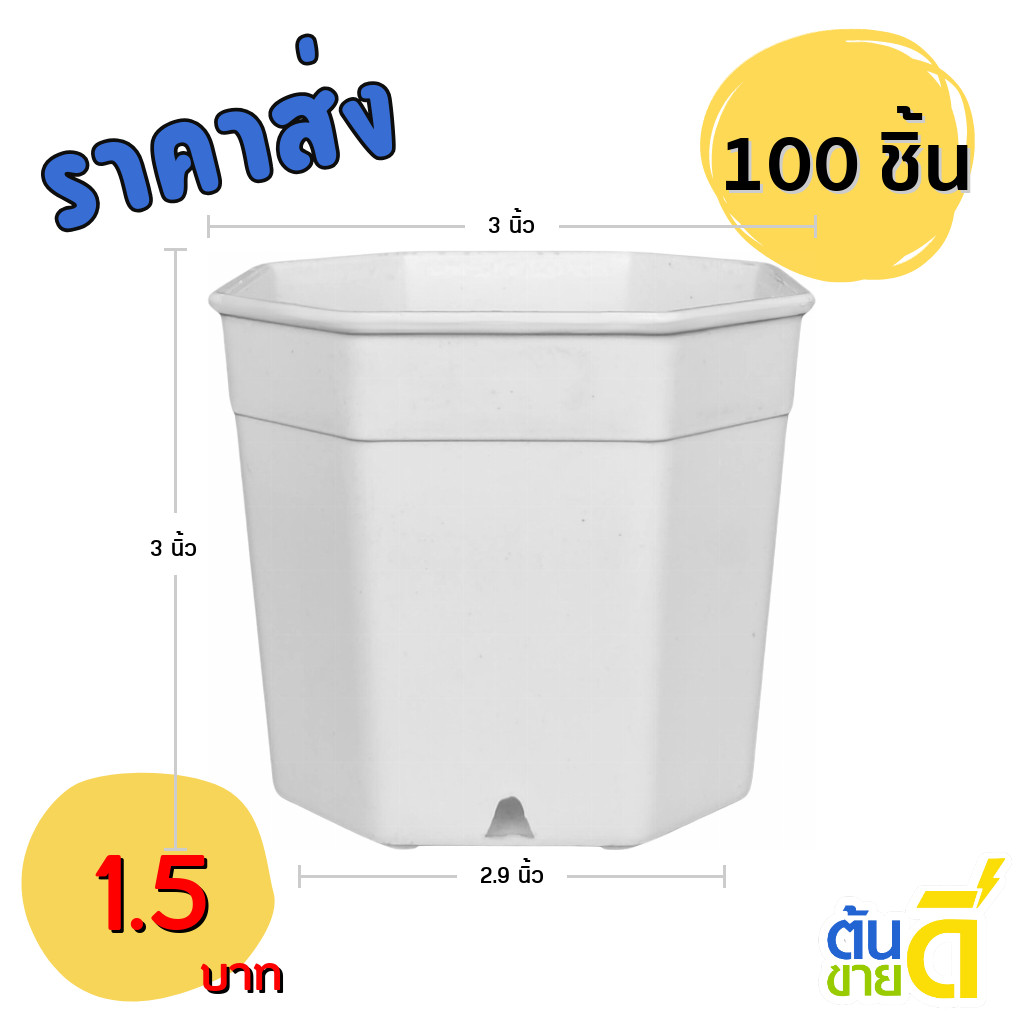 กระถางต้นไม้ กระถาง 8 เหลี่ยม กระถางแคลตัส เบอร์ 3 นิ้ว สีขาว 100 ใบ ชิ้น ยกมัด