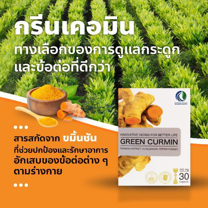 Green Curmin กรดไหลย้อน โรคกระเพาะอักเสบ ลำไส้อักเสบ โรคกระเพาะเรื้อรัง