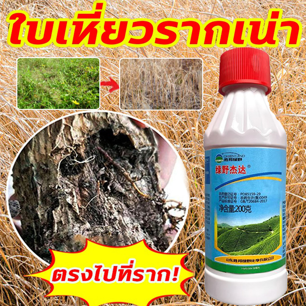ยาฆ่าตอต้นไม้ 200ml หยดเดียวรากเน่า 1หยดฆ้าต้นไม้ตาย ยาฆ่าต้นไม้ใหญ ยากำจัดต้นไม้ใหญ่ ยาฆ่าไผ่