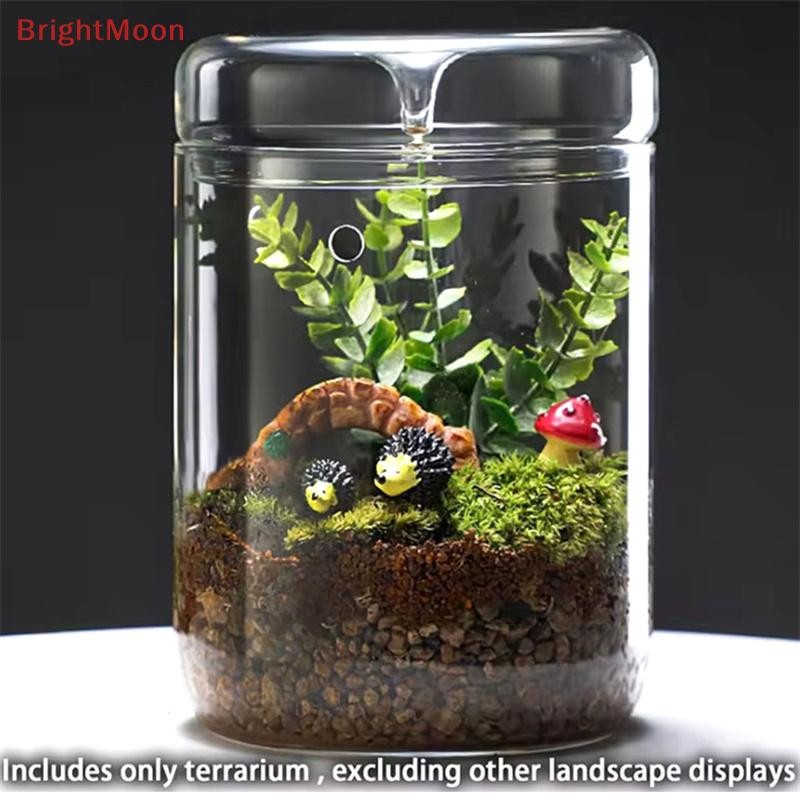 BrightMoon ขวดแก้วความคิดสร้างสรรค์ Dew คอลเลกชันแจกันแก้ว Micro ภูมิทัศน์ Succulent Moss ภูมิทัศน์แก้ว Terrarium ตกแต่งบ้าน Nice