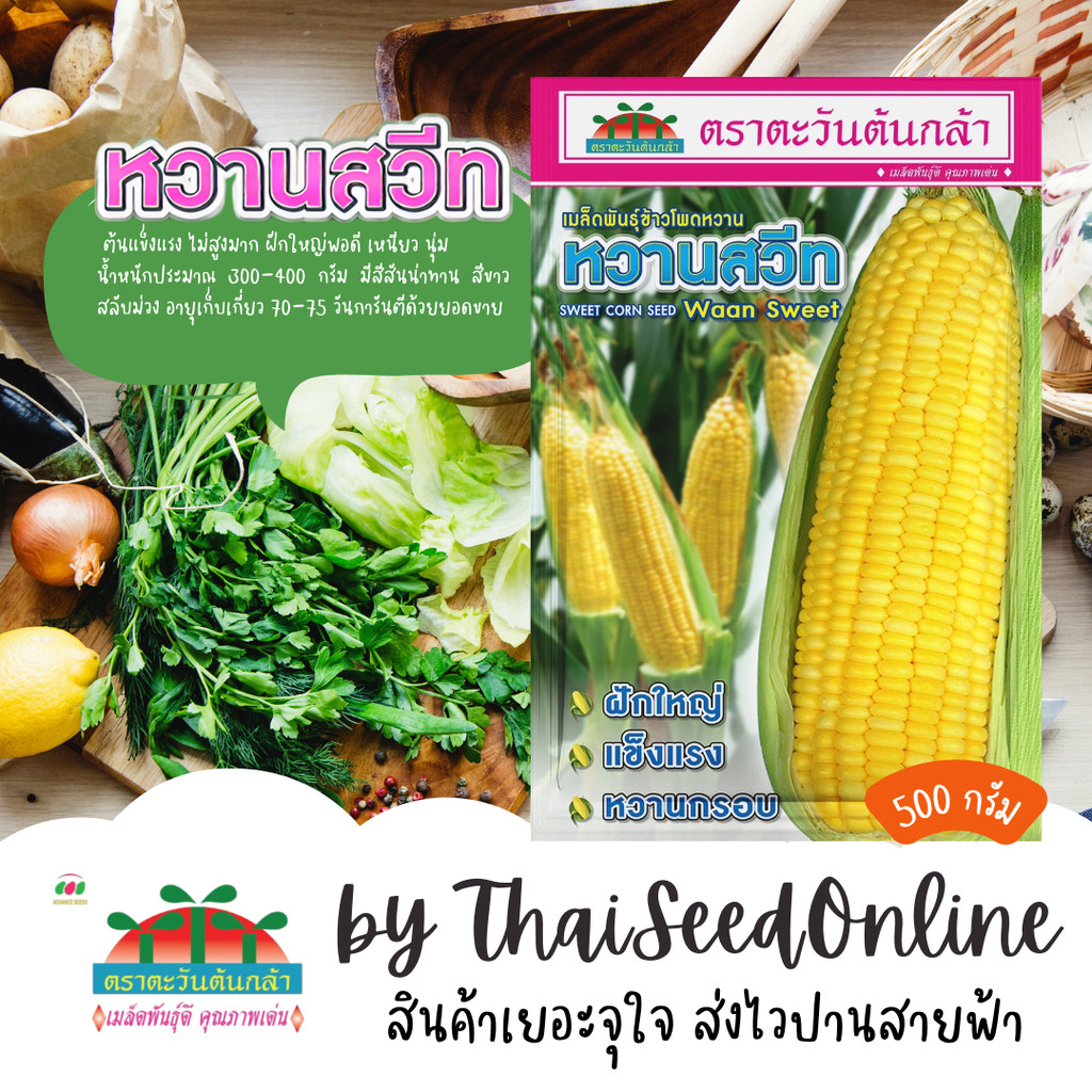 ADV Exp. 2/70 ถุง 500กรัม 🔥ใหม่🔥เมล็ดพันธุ์ข้าวโพดหวาน หวานสวีท 500 กรัม ตราตะวันต้นกล้า