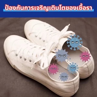 สเปรย์ดับกลิ่นเท้า Shoe Spray 250ml สเปรย์ดับกลิ่นอับ ดับกลิ่นรองเท้า ผลิตภัณฑ์ดับกลิ่นรองเท้า สเปรย์ดับกลิ่นรองเท้า