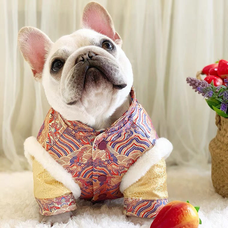 French Bulldog เสื้อผ้าปีใหม่เสื้อผ้าปีใหม่สไตล์จีน Tang ชุดสไตล์จีนสุนัขไขมัน Bulldog Quilted เสื้อผ้าสุนัขหนา