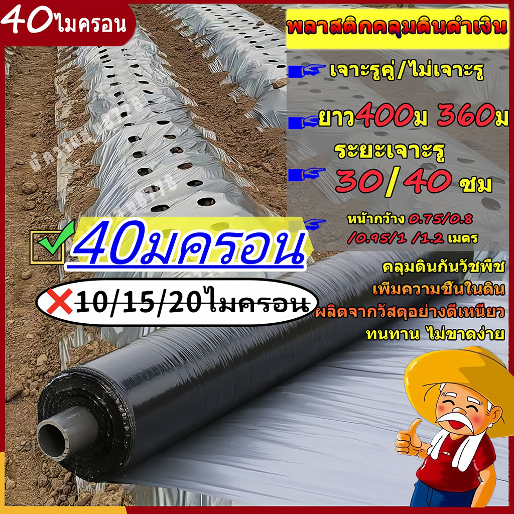 พลาสติกคลุมดินสีดำเงิน กว้าง 0.8 เมตร ยาว 400หลา (360เมตร) เจาะรู 30 40 50 60 cm
