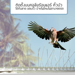 หนามกันนก10ชุด 48ขา PLUS+​ (เข็มแน่นมาก) ไล่นก​ ฐานสแตนเลส 50cm. สำหรับ บ้าน คอนโด อาคาร หนามไล่นก