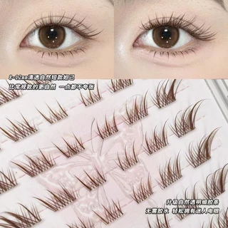 Short Brown Fox Eye ขนตาปลอมคลัสเตอร์ - ไม่มีกาวขนตาติดด้วยตนเองสําหรับผู้เริ่มต้น, การออกแบบ Staggered, ช่างแต่งหน้ามืออาชีพแนะนํา