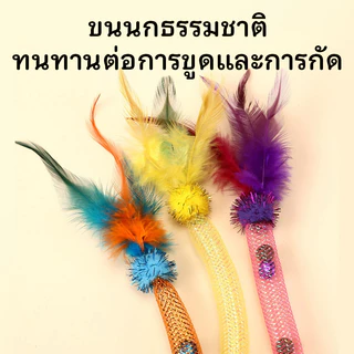 ไม้ตกแมว ของเล่นแมว ไม้แมว ไม้ตกแมวขนนก ไม้ล่อแมว เชือกยืดหยุ่นได้ พร้อมกระดิ่ง 2 อันและแคทนิป 2 อัน