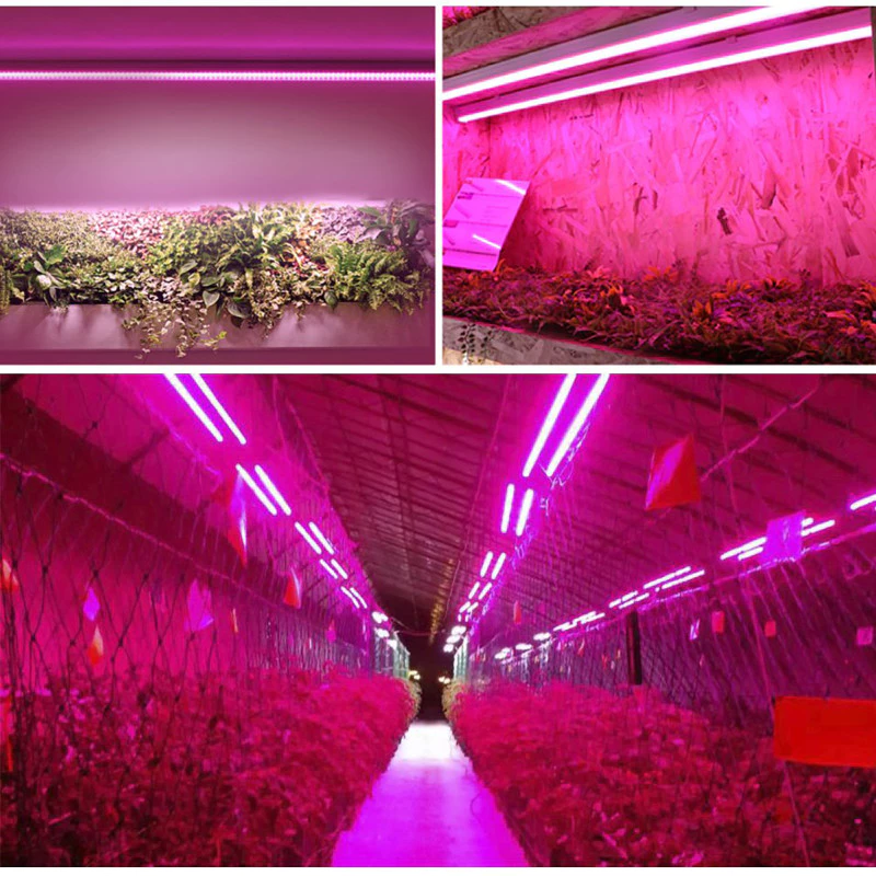 ไฟ LED Grow ไฟโคมไฟปลูกแบบบูรณาการแบบเต็มสเปกตรัม 20W 1.64ft thumbnail 8