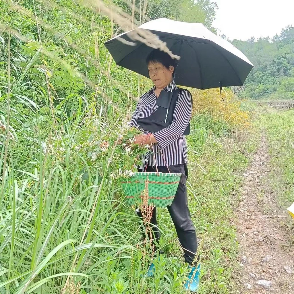 ใหม่แบบพกพาหนาพิเศษสิ่งประดิษฐ์ร่มกลางแจ้งร่มร่มร่มร่มร่มร่มร่ม thumbnail 8