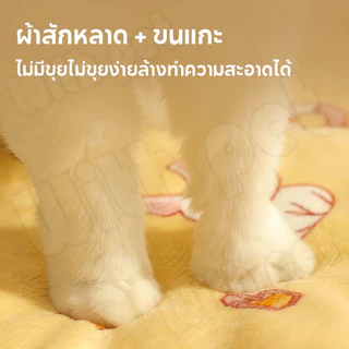 NEW!😻เบาะสัตว์เลี้ยง pet cushion ผ้าห่มสัตว์เลี้ยง เบาะนอนสำหรับสัตว์เลี้ยง เบาะนุ่มแมว อบอุ่นและสะดวกสบาย
