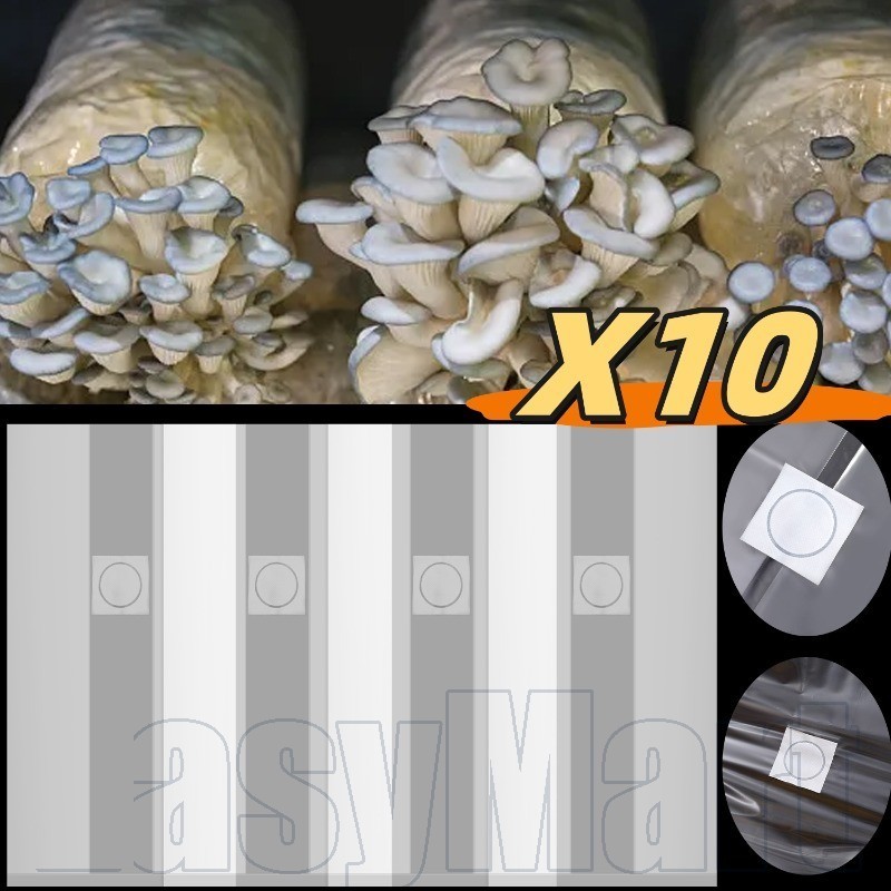 ถุงปลูกเห็ดพรีเมี่ยม | PVC Mycelium Accelerator, Dust/Moisture Proof ดีไซน์โปร่งใสสําหรับการเพาะปลูก Fungi & Grain Spawn (3/5/10 ชิ้น)