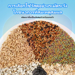 99PET อาหารสำหรับนก อาหารนกระดับพรีเมียม สารอาหารครบถ้วนหลากหลาย เหมาะสำหรับนกแก้วทุกประเภท