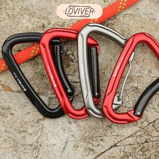 Solid Carabiner Clip 4