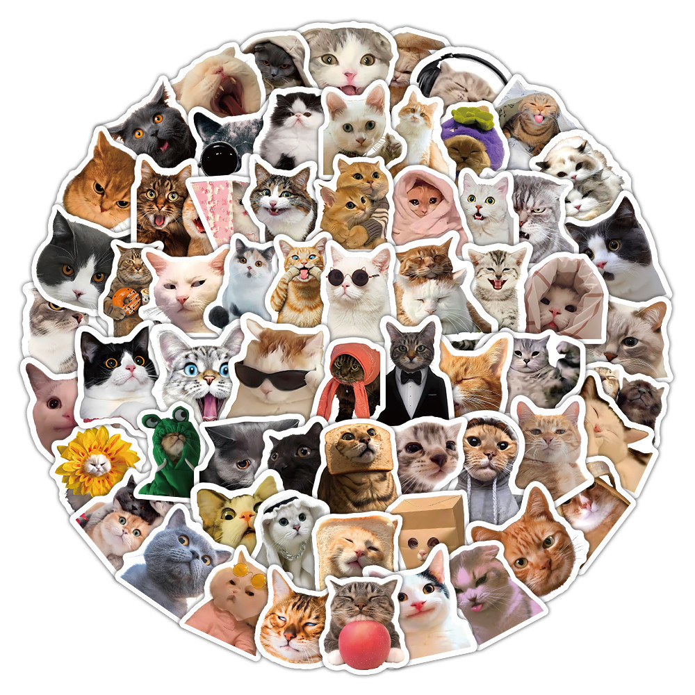 104pcs น่ารักและตลกแมวสมจริง Meme Graffiti สติกเกอร์สําหรับจักรยานบัญชีมือกรณีดินสอ Decals LanLanStickersWorld