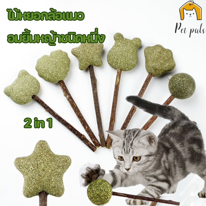 🐱💕2in1 ไม้หยอกล้อแมว อมยิ้มหญ้าชนิดหนึ่ง ขนมแมวเลีย รวมที่สุดของโปรดน้องแมว ขัดฟ