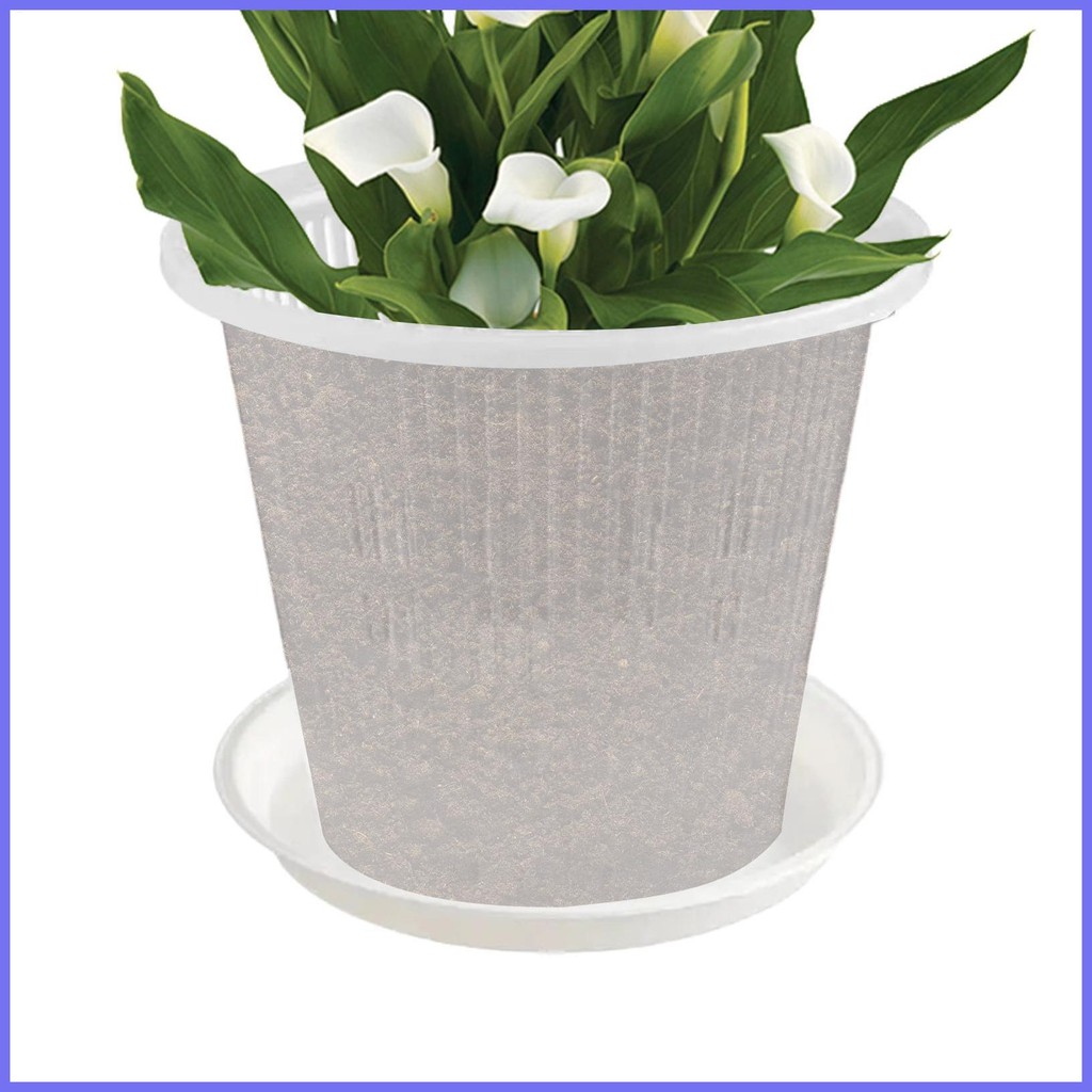 Orchid Planter ในร่ม Orchid กระถางหลุมและจานรองเครื่องใช้ในบ้าน Clear Plant Plant Plant Planter สําห
