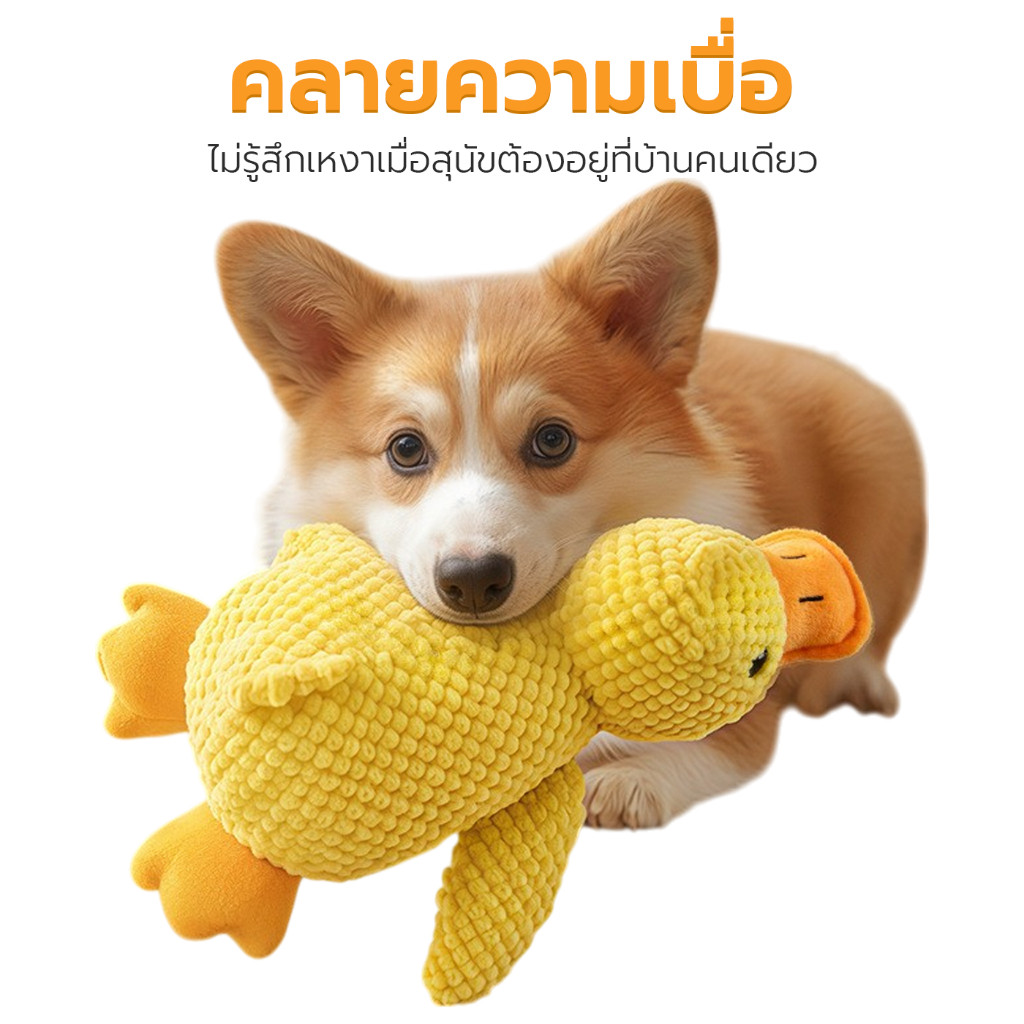ของเล่นสุนัข ของเล่นตุ๊กตาสุนัข ของเล่นสัตว์์เลี้ยง Dog Toy ทนต่อการกัด  ทำให้ผ่อนคลาย Petus pet ราคา ถูกที่สุด ดีลบีเคเค แกลเลอรีภาพที่ 6