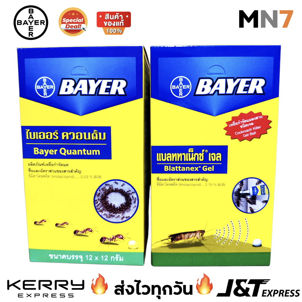 💥ส่งไวทุกวัน💥 Bayer Quantum เจลกำจัดมด & Blattanex เจลกำจัดแมลงสาบ 12g - 1 กล่อง 12 ชิ้น MN7