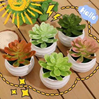 1-3ชิ้นจําลองพืชอวบน้ํากระถางต้นไม้ขนาดเล็ก-ในร่มสก์ท็อปชั้น…