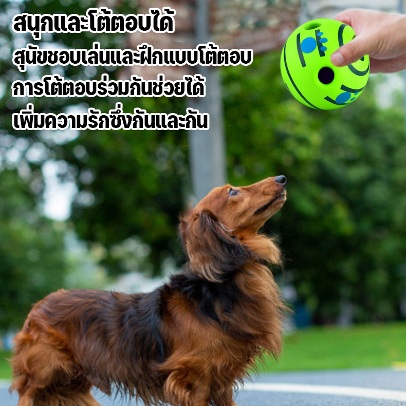 ของเล่นสัตว์เลี้ยง ของเล่นสุนัขขัดฟัน ลูกบอลสุนัขมีเสียง ของเล่นสุนัขแก้เหงา - รูปที่ 6