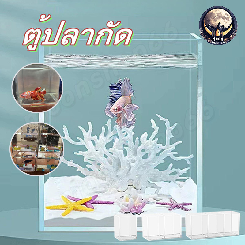 ตู้ปลา ตู้ปลากัด ตู้ปลาขนาดเล็ก โหลปลากัด เหมาะสำหรับสัตว์เลี้ยงขนาดเล็กทุกชนิด