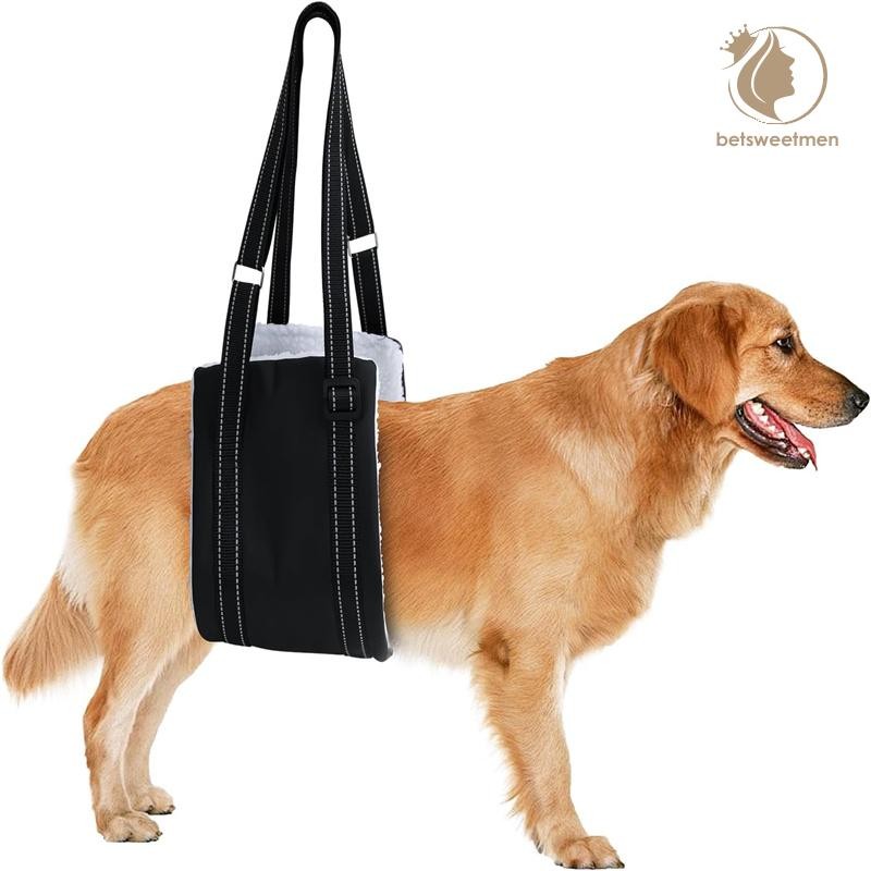 [PE] สุนัข Lifg สายรัดปรับอาวุโสสุนัขสนับสนุนสลิงสําหรับขาหลังสําหรับ Canine Aid และสุนัขเก่า Ligament Rehabilitation TH