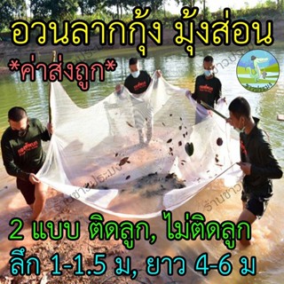 อวนลากกุ้ง ยาว 4,5,6 เมตร ลึก 400-600 ตา ติดลูกแห มุ้งส่อน อ…