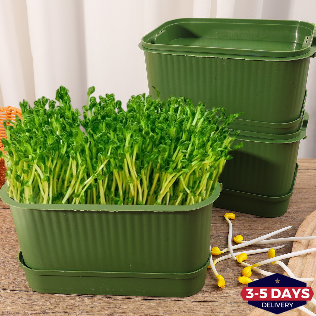 [3-5วันมาถึง]ถาดเพาะกล้าพลาสติกแบบใช้ซ้ําได้พร้อมรูระบายอากาศ1/2/3ชุดภาชนะงอกทําสวนสําหรับพืชในร่ม, แมวหญ้า/ถั่วงอกชุดปลูก