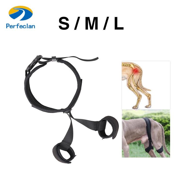 [Perfeclan] สุนัขสะโพกรั้งสายรัดเสริม Canine Aid ยืดหยุ่น Assist Band สบายรั้งข้อศอก Helper สุนัขขารั้งสะโพก Joint Support