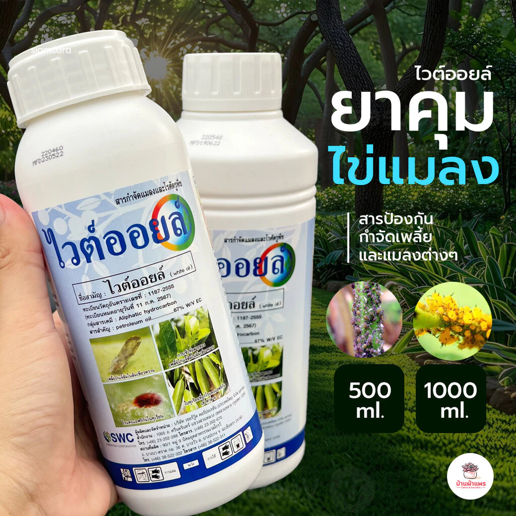 ไวต์ออย ยาคุมไข่แมลง สารป้องกันและกำจัดเพลี้ยและแมลงต่างๆ