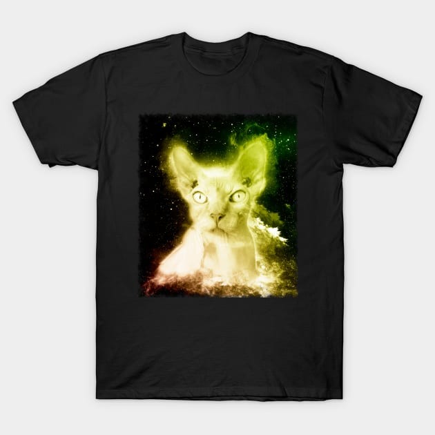 เสื้อยืด Vintage Hairless Cat Shirt Nebula Sphynx Cat Space T Shirt T-Shirt แท้ Cotton 100%