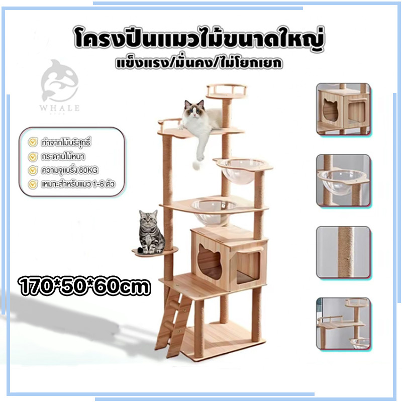 คอนโดแมว ไม้แมวคอนโดแมว บ้านแมว รวมถึงแคปซูลอวกาศโปร่งใสเหมาะสำหรับเลี้ยงน้องแมว 3-5ตัว เสาลับเล็บ ขนาดใหญ่ สูง170CM