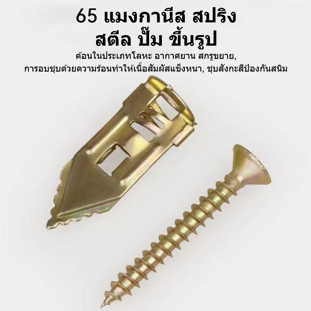 หนึ่งชิ้นแตะขยายสกรูยึดสกรูยิปซั่มสกรู, สกรูไม้, สกรูหัวสกรู, สมอผีเสื้อเหล็ก, สมอเหล็ก 100 ชิ้นต่อถุง - รูปที่ 2