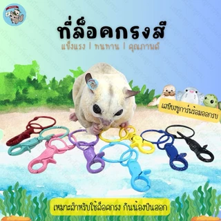 V ( ที่ล็อคกรงสี ) ตัวล็อคกรง ที่ล็อคกรง ล็อคกรง กรง ชูการ์ กระรอก นก บุชเบบี้ ลิง ลิงมาโมเสท กันหลุด กันสัตว์หลุด