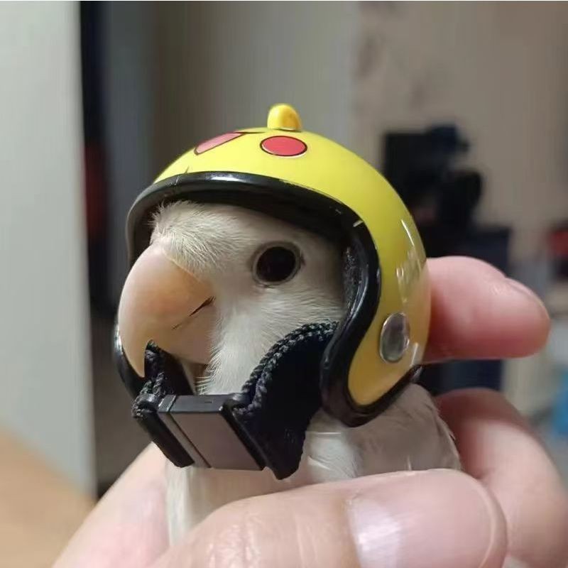 New Product#Cockatiel Head Anti-Fighting Pet Safety Hat Pigeon Parrot Bird Head Protector Honey Poss
