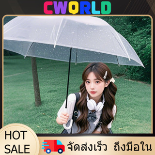 YTL ร่มกันฝนใสแฟชั่น พร็อพถ่ายภาพ-ตกแต่งร้าน สไตล์มินิมอล พก…