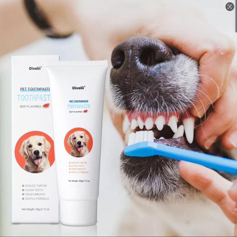Oivolii ยาสีฟันสัตว์เลี้ยง 60g รสเนื้อวัว  ล้างฟันสะอาดไม่เจ็บ ไร้สารที่เป็นอันตรายปลอดภัยสำหรับสัตว์  ป้องกันเหงื่อฟันและสีเทา+ส่งแปรงสีฟัน
