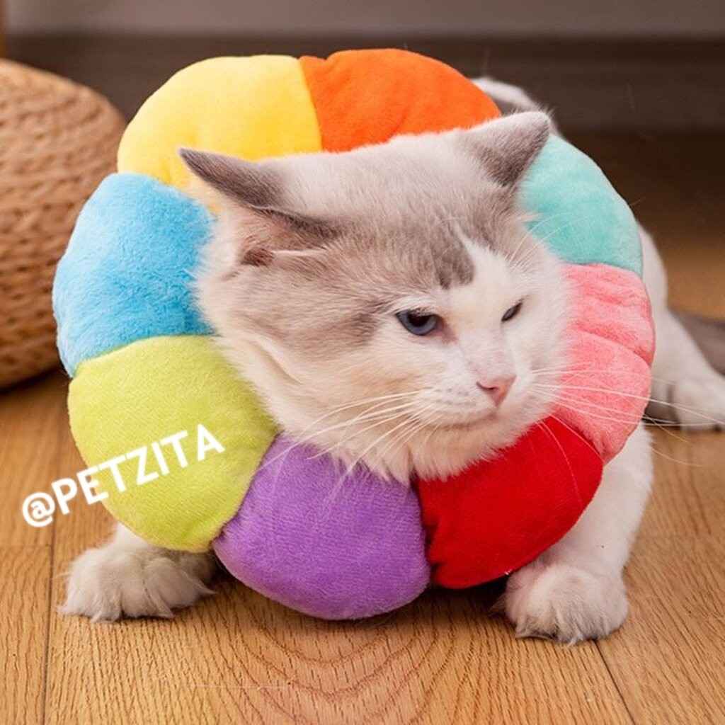 🇹🇭พร้อมส่ง🇹🇭 🌈🌈🌈 คอลล่าร์กันเลีย ปลอกคอกันเลียแผล สัตว์เลี้ยง สุนัข หมา แมว หมาใหญ่ คอลล่าร์สุนัขพันธุ์ใหญ่ สำเนา